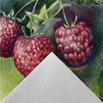 "Canson" Альбом для смешанных техник "Graduate Drawing" 160 г/м2 A4 21 х 29.7 см склейка с одной стороны 30 л.