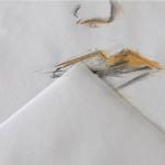 "Canson" Альбом для набросков "Graduate Sketching" 96 г/м2 A5 14.8 х 21 см склейка с одной стороны 40 л.