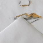 "Canson" Альбом для набросков "Graduate Sketching" 96 г/м2 A4 21 х 27.9 см склейка с одной стороны 40 л.