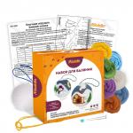 "Miadolla" WT-0221 Елочная игрушка "Зимняя сказка" набор для валяния