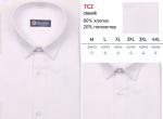 *TC2 CL Сорочка муж. длин. рукав, классика, белый, BROSTEM
