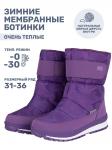 Ботинки 16з12224 фиолетовый