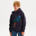 BFNK3376 толстовка для мальчиков