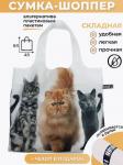 Сумка 3 Кота, Мод.4 (SM4pr)