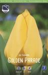 Тюльпан Голден Парад (Tulipa Golden Parade), 15 шт (разбор 14/16!)