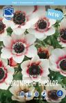 Анемона Де Каен Биколор (Anemone de Caen Bicolor), 20 шт (разбор 6/7)
