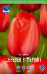 Тюльпан Лефеберс Мемори (Tulipa Lefebers Memory), 10 шт (разбор 12/14)