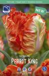 Тюльпан Пэррот Кинг (Tulipa Parrot King), 10 шт (разбор 11/12)