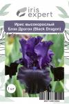 Ирис высокорослый Блэк Дрэгон (Black Dragon), 1 шт