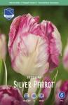Тюльпан Сильвер Пэррот (Tulipa Silver Parrot), 10 шт (разбор 11/12)