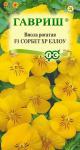 цВиола Сорбет Еллоу рогатая 4шт (1071857621)