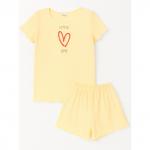 Комплект лапша 7006700402