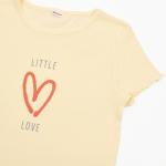 Комплект лапша 7006700402