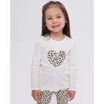 Комплект кашкорсе 8025400102