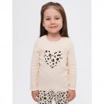 Комплект кашкорсе 8025400103