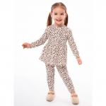 Комплект кашкорсе 7897400101