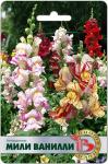 Антирринум Мили Ванилли