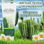 DEOPROCE NATURAL PERFECT SOLUTION CLEANSING FOAM SOAP BERRY & CACTUS FLOWER Пенка для умывания с экстрактом цветков кактуса и мыльным орехом 170г