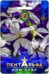 Петуния Пентальфа F1 Блю Стар