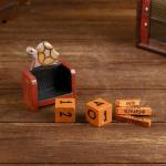 Вечный календарь настольный «Черепаха», 10?7 см, дерево