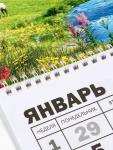 Календарь настенный квартальный 2026 «Пейзаж», 30?46 см
