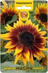 Подсолнух Мини-Макс F1 Магма