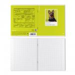 Тетрадь общая ученическая ErichKrause DogTone, Русский язык, 48 листов, линейка, выборочный УФ-лак