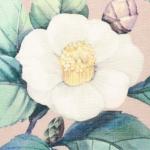 Салфетка на стол «Доляна. Камелия», ПВХ, 40?29 см