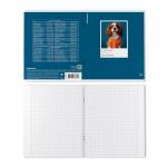 Тетрадь общая ученическая ErichKrause DogTone, История, 48 листов, клетка, выборочный УФ-лак