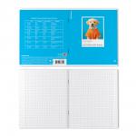 Тетрадь общая ученическая ErichKrause DogTone, Английский язык, 48 листов, клетка, выборочный УФ-лак