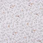 Постельное бельё 1.5-спальное LoveLife Line, сатин