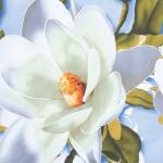 Пододеяльник 2-спальный «Этель. Кувшинки», 175?210 см, бязь