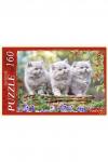 ПАЗЛЫ 160 элементов. КОТЯТА В КОРЗИНКЕ (Арт. П160-1079) НАТАЛИ, 959369