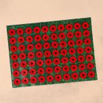 Аппликатор "Кузнецова - Любимой маме", 70 колючек, плёнка, 23?32 см, красный