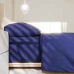 Постельное бельё 1.5-спальное «Этель. Синяя пыль», поплин