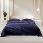 Постельное бельё 2-спальное «Этель. Синяя пыль», поплин