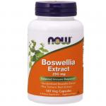 NOW Экстракт Босвеллии 765мг 120 капс (BOSWELLIA EXTRACT 250mg 120 CAPS)