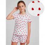 Комплект кулирка жатка 7073100101