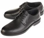 Дерби Baden ZD033-010