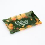 Блюдо новогоднее «Сказочного нового года», 24.6?14.7 см