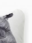 Подушка «Этель» Cat family, 40?33 см, велюр