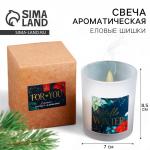 Ароматическая свеча в стакане Hello winter, еловые шишки, 7?7?8.5 см