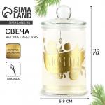 Ароматическая свеча новогодняя в банке «Мечты сбудутся», лаванда, 11.5?5.8 см