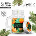 Ароматическая свеча новогодняя в банке «Цитрусовое настроение», мандарин, 7?8.5?5 см