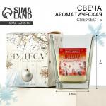Ароматическая свеча новогодняя в стакане «Домашний очаг», свежесть, 6.8?8 см