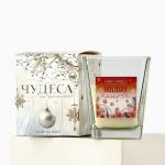 Ароматическая свеча новогодняя в стакане «Домашний очаг», свежесть, 6.8?8 см