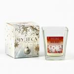 Ароматическая свеча новогодняя в стакане «Домашний очаг», свежесть, 6.8?8 см