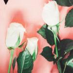 Кухонный набор «Этель» «Мама»: полотенце, лопатка