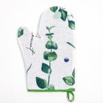 Варежка-прихватка «Доляна» Eucalyptus 20?27 см,100% хлопок, рогожка 164 г/м?