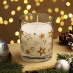 Ароматическая свеча в стакане «Зимний лес»